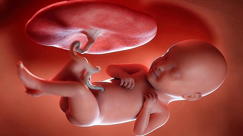 اسم آخرین سونوگرافی بارداری