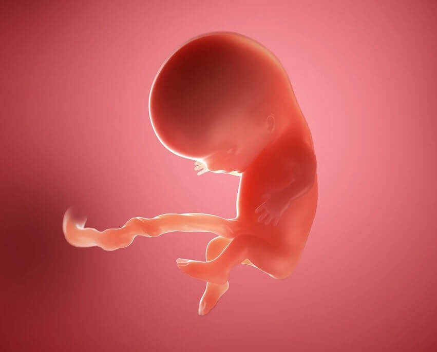 اسم آخرین سونوگرافی بارداری