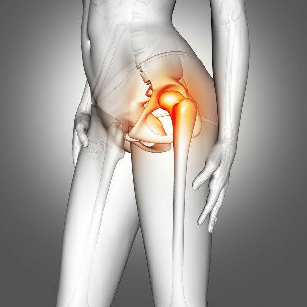 g/عکس از ۳ مفصل ران و زانو و مچ پا