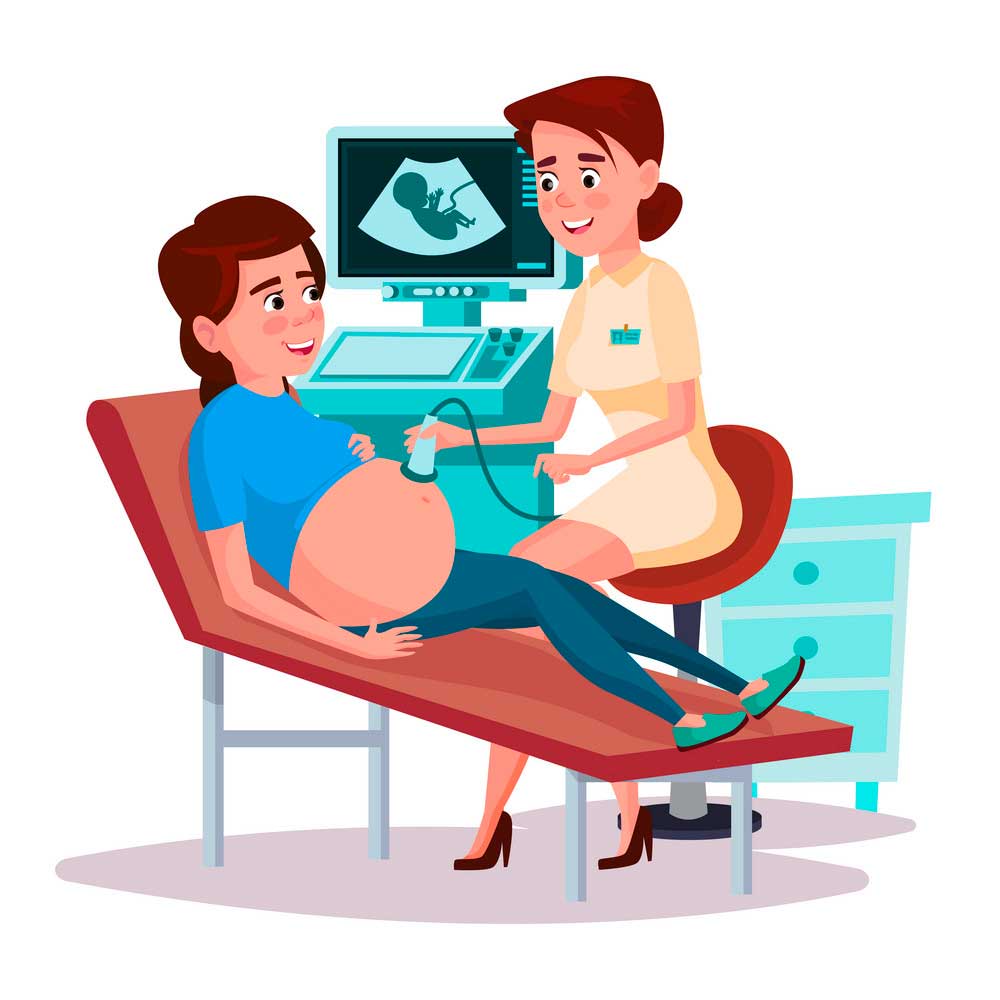 ultrasound/سونوگرافی تشخیص جنسیت(جنین پسر است یا دختر)